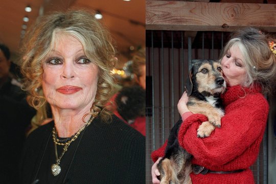 PETA įkūrėja pagerbė „gyvūnų angelą“ – velionę prancūzų aktorę Brigitte Bardot
