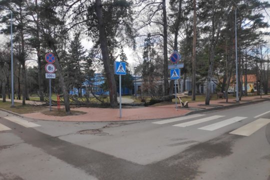 Ugniagesiai Lietuvoje 126 kartus vyko šalinti dėl stipraus vėjo nuvirtusių medžių