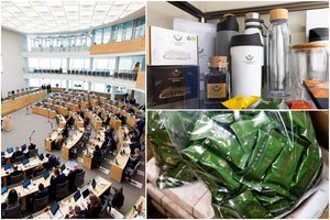 Per metus Seimo sandėliuką pašvarino už daugiau nei 300 tūkst. eurų: skelbiami politikai rekordininkai