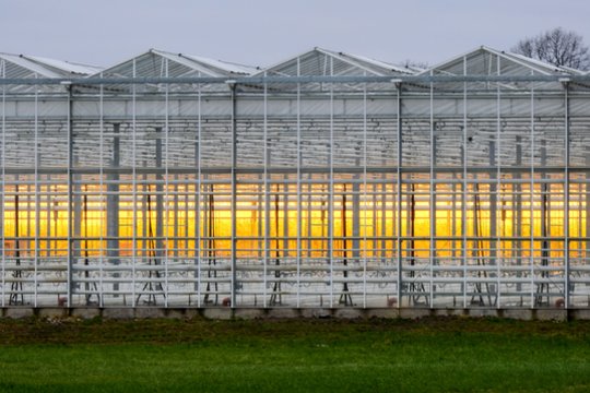 Šie ūkiai gaus beveik 10 tūkst. Eur už hektarą – paramą mokės kitąmet