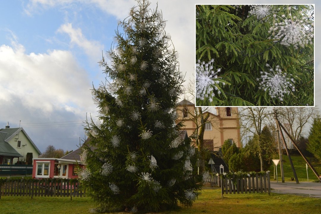 Šio Lietuvos miestelio eglė – vienintelė tokia turbūt visame pasaulyje: pamatęs, kuo papuošta, nustebtų ne vienas
