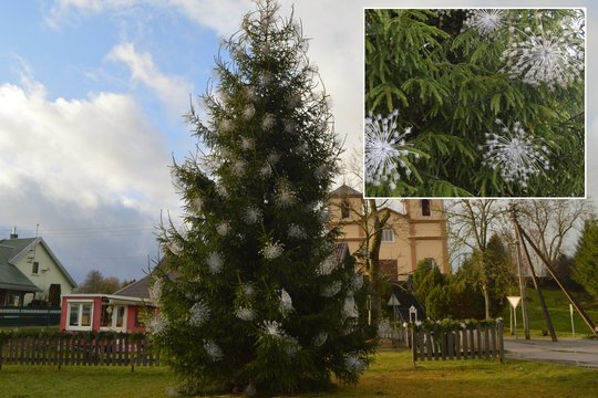 Šio Lietuvos miestelio eglė – vienintelė tokia turbūt visame pasaulyje: pamatęs, kuo papuošta, nustebtų ne vienas