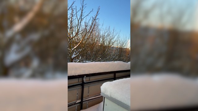 Naujuosius metus pasitiksime su pusnimis ir šaltai: vietomis sniego danga siekia apie 17 centimetrų