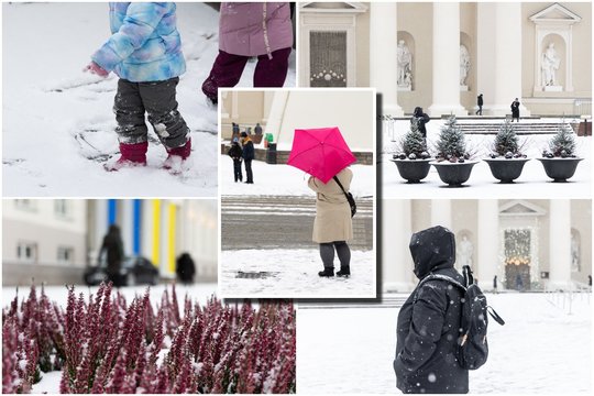 Žiema pasirodė visu gražumu: sniego nubalintas Vilnius primena pasaką