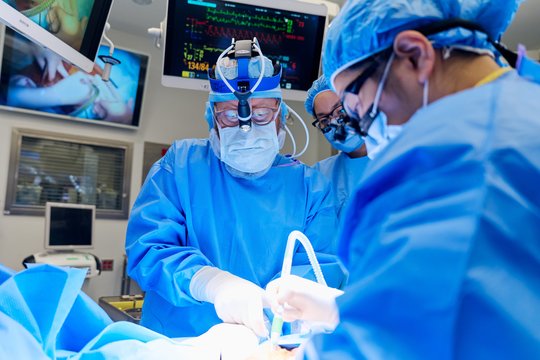 2025-ųjų medicinos laimėjimai: kiaulių organų persodinimas žmonėms, nauji skiepai ir svorio metimo vaistai