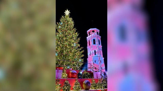 Į sostinės Katedros aikštę plūsta minia žmonių: džiugins šviesų šou ir vaizdo instaliacijos
