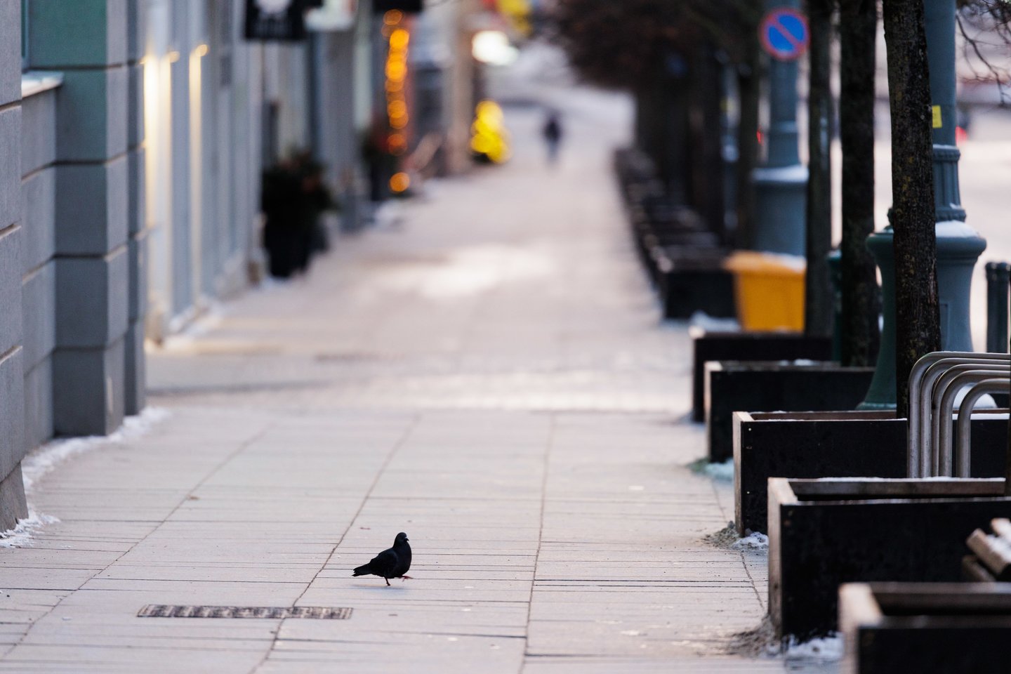 Miestas išaušus Naujųjų metų rytui<br>V.Skaraičio nuotr.