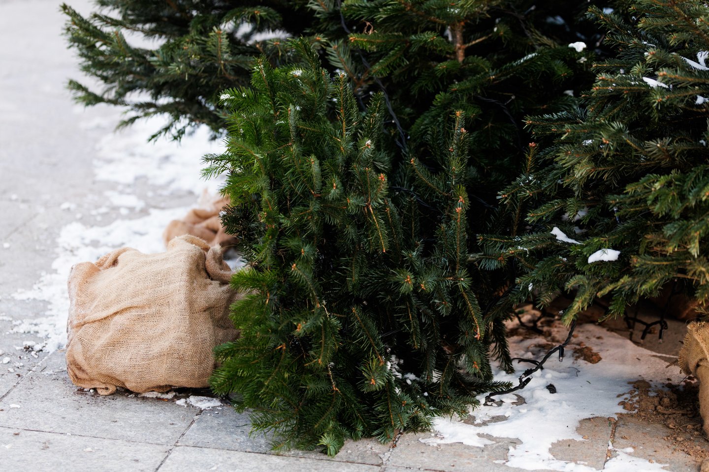 Miestas išaušus Naujųjų metų rytui<br>V.Skaraičio nuotr.