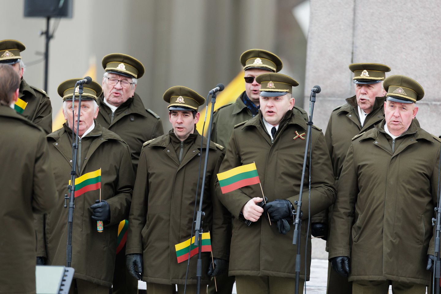  Vėliavos diena.<br> V.Skaraičio nuotr.