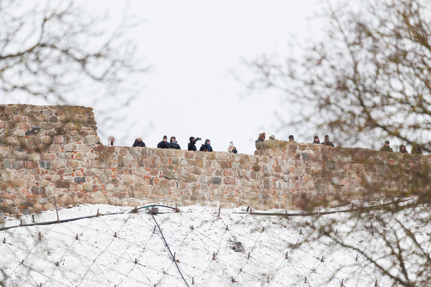  Vėliavos diena.<br> V.Skaraičio nuotr.