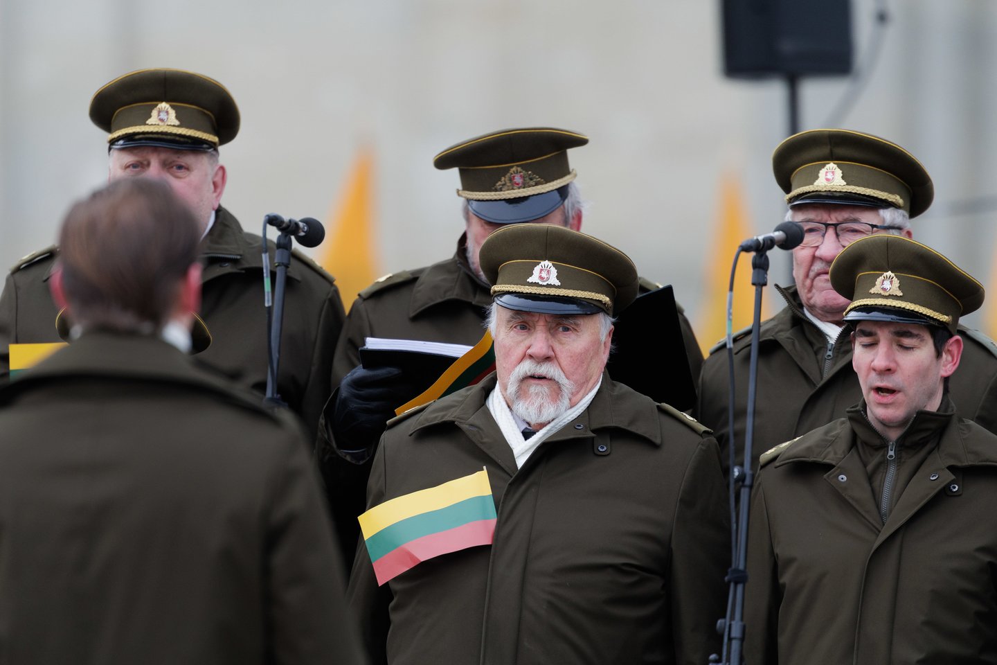  Vėliavos diena.<br> V.Skaraičio nuotr.