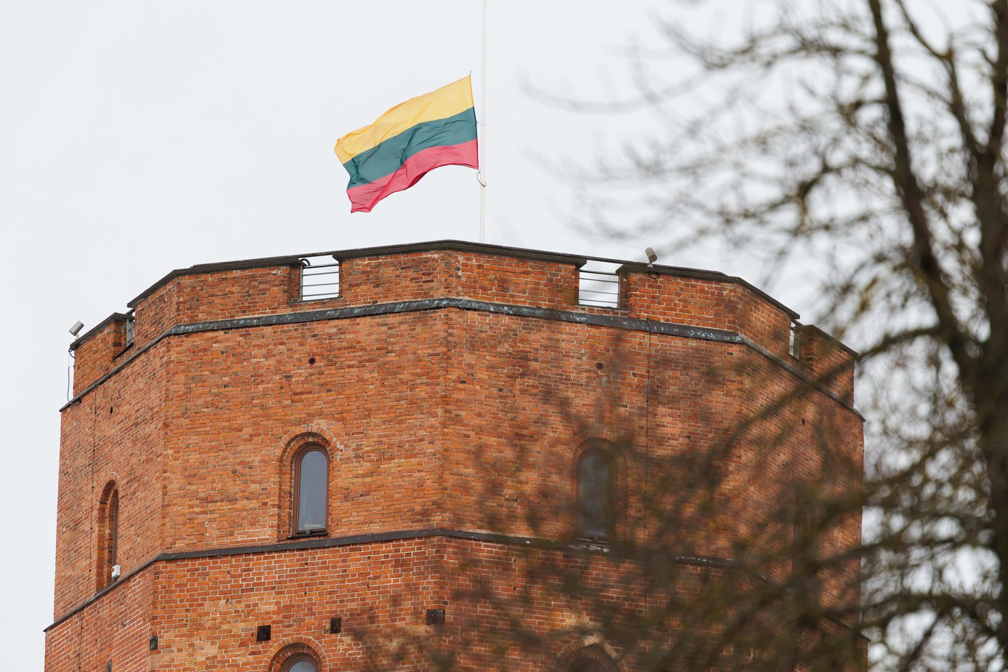  Vėliavos diena.<br> V.Skaraičio nuotr.