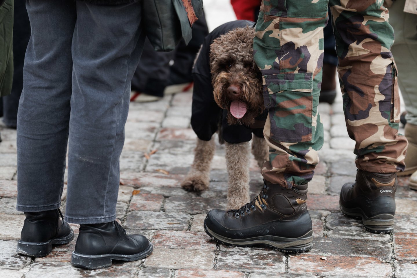  Vėliavos diena.<br> V.Skaraičio nuotr.