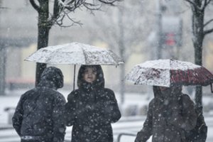 Aiškėja pirmieji skaičiai dėl II pakopos pinigų: apkrautos bankų sistemos, „Sodra“ užversta užklausomis