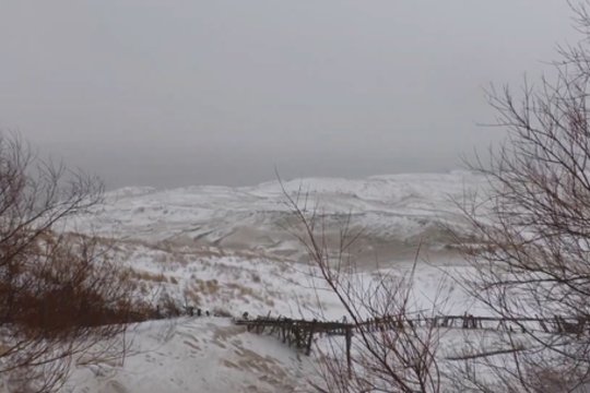 Žiemiški vaizdai iš Neringos: pūga kelius padengė sniego paklode