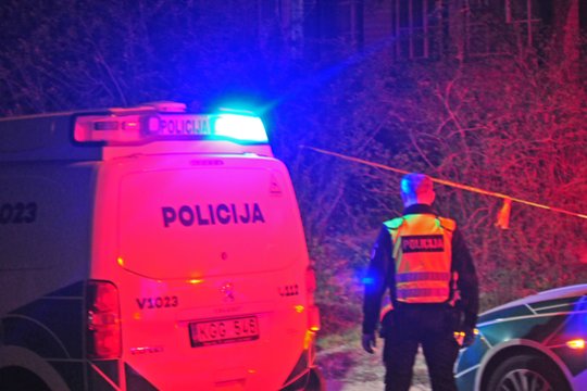 Nužudymas už juoką ir mirtis dėl skolos: nepilnamečių žiaurumas laužė ir jaunų budelių, ir jų aukų gyvenimus