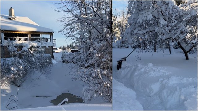 Plungėje – tikra žiemos karalystė: skaitytoja parodė sniego gausiai nubalintą kiemą