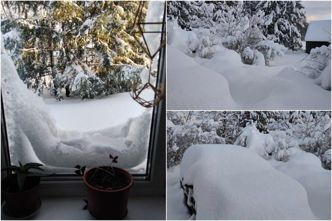 Gyventojai įamžino, kiek sniego iškrito Žemaitijoje.<br>Asociacijos „Onkologinės ligos draugas“ narių nuotraukos.