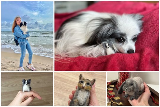 Delne telpanti meilė: augintinių miniatiūras kurianti vilnietė sulaukia ir širdį spaudžiančių prašymų