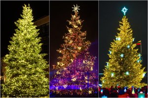 Lrytas skaitytojai išrinko gražiausią Kalėdų eglę Lietuvoje