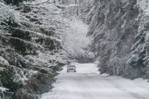 Sinoptikė perspėja – artėja didelis šaltis: kasdien temperatūra krenta vis žemiau