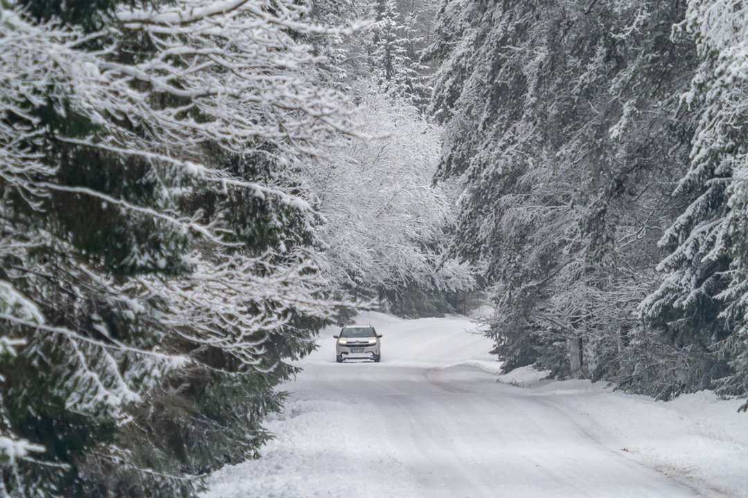 Sinoptikė perspėja – artėja didelis šaltis: kasdien temperatūra krenta vis žemiau