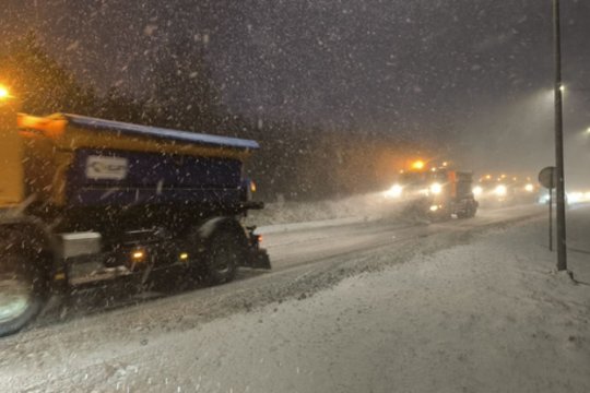 Mokslininkė: tokios žiemos pajūryje seniai nebuvo 