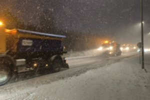 Mokslininkė: tokios žiemos pajūryje seniai nebuvo 