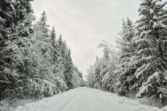 Plungės rajone paskelbus ekstremalųjį įvykį, A. Klišonis neatmeta, kad aplinkiniai rajonai galėtų padaryti tą patį