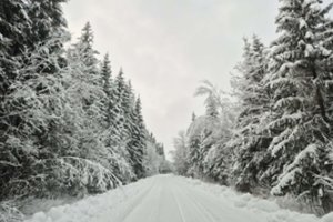 Plungės rajone paskelbus ekstremalųjį įvykį, A. Klišonis neatmeta, kad aplinkiniai rajonai galėtų padaryti tą patį