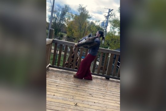 Žirafa nustebino savo meilumu: mergaitę apdovanojo šiltu apsikabinimu