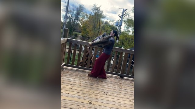 Žirafa nustebino savo meilumu: mergaitę apdovanojo šiltu apsikabinimu