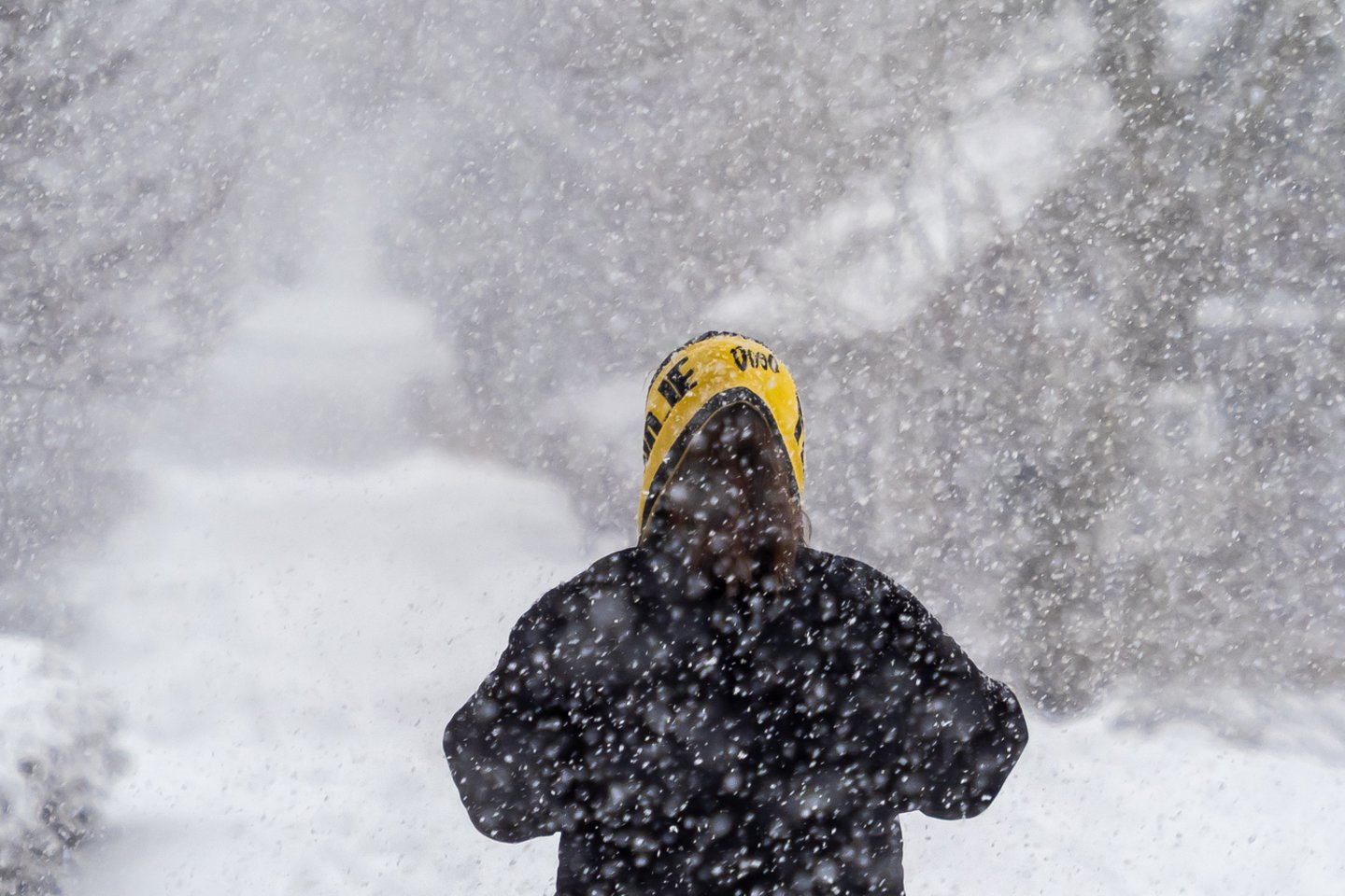 Lietuvoje prisnigo<br>V.Ščiavinsko nuotr.