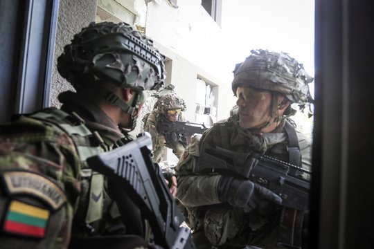 R. Kaunas: Ukrainoje galėtų būti dislokuota keli šimtai Lietuvos karių, bet yra viena sąlyga