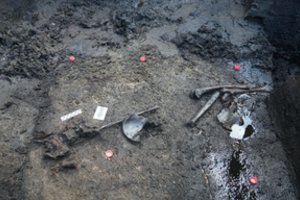 Nauji archeologiniai tyrimai Lietuvoje atskleidžia bronzos amžiaus konflikto pėdsakus