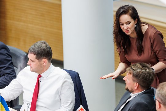 Kirtis R. Žemaitaičiui – ne tik iš R. Kauno: sureagavo ir I. Ruginienė