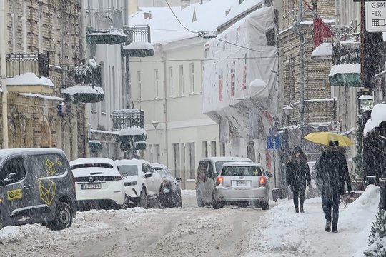 Sniegas sukėlė rimtų padarinių: draudikai įvardija labiausiai nukentėjusius miestus
