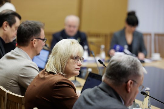 Seime – dar vienas darbo grupės dėl LRT pataisų posėdis: IŽA siūlo perrašyti dabartinį įstatymą