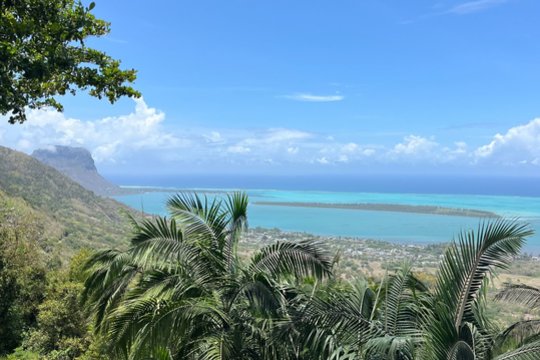 Kelionė į Mauricijų lietuvę ne tik sužavėjo, bet ir nustebino: parduotuvėje – lietuviški produktai