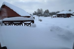 A. Klišonis papasakojo apie situaciją Plungės r. ir pasakė, kada planuoja atšaukti ekstremalų įvykį