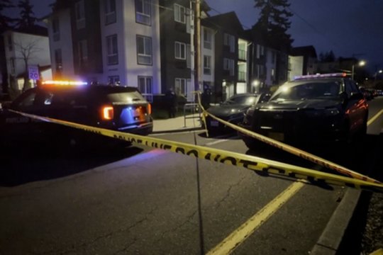 Praėjus vos dienai po moters nušovimo JAV – dar vienas incidentas: imigracijos pareigūnai pašovė du žmones