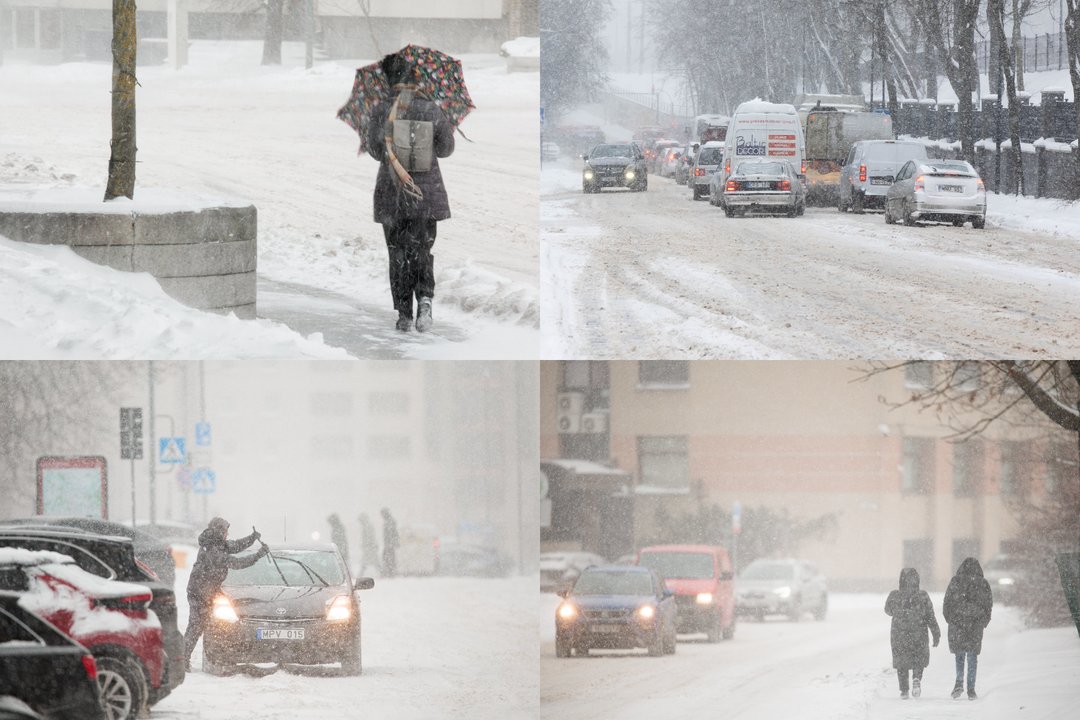 Pūga Vilniuje. <br>Lrytas koliažas. 