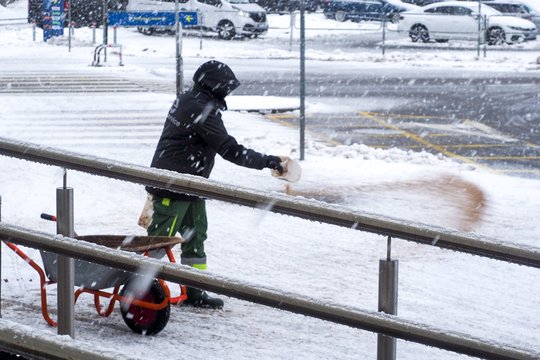 Laužantiems galvas, ką daryti su II pakopa, aiškiai pasakė, į kokius klausimus privalu atsakyti