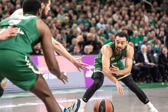 N. Williamso-Gosso bėdos nesibaigia – dėl skausmų vėl nerungtyniauja