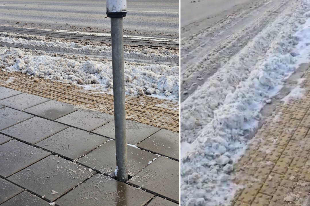 Bedė pirštu į Vilniaus kelių būklę: „Tyčia taip daro?“