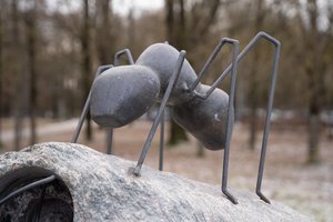 Šiame Kauno parke dera tai, kas kitur mieste neranda vietos: paaiškinimas paprastas