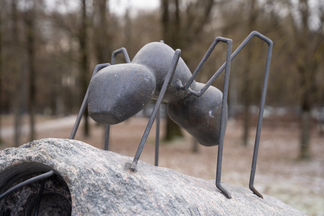 Šiame Kauno parke dera tai, kas kitur mieste neranda vietos: paaiškinimas paprastas