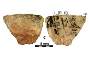 Atrasti seniausi pasaulyje nuodingi ginklai