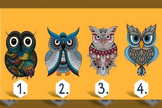 Kurią pelėdą renkatės? Tai atskleis giliausius jūsų charakterio bruožus