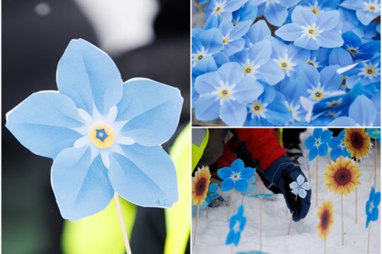 Sostinės širdyje – išskirtinis vaizdas: Lukiškių aikštė užsipildė neužmirštuolėmis